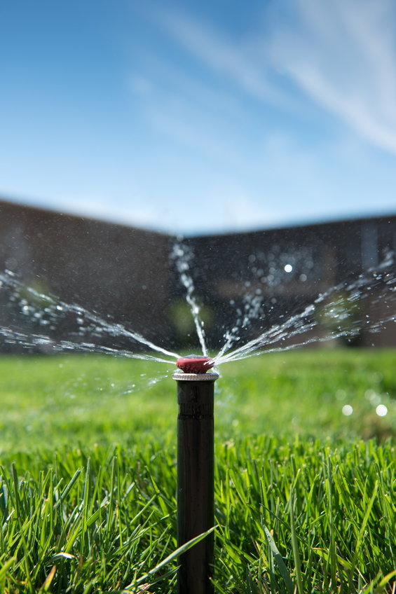 water spraying from a sprinkler head