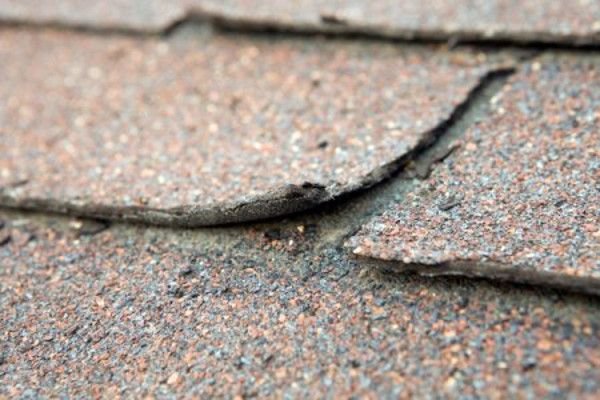 A broken asphalt shingle. 