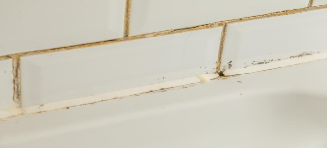 Shower Grout Mildew Removal