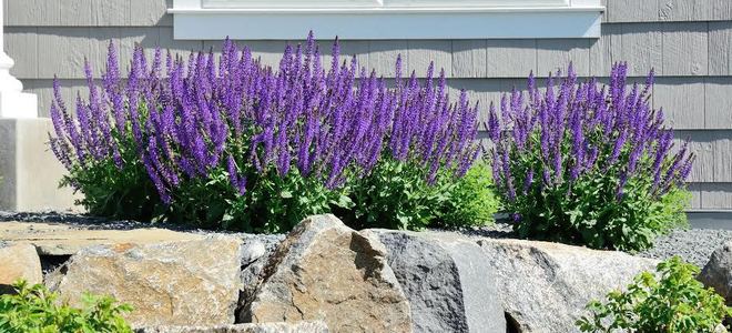 4. Add a Flagstone Wall