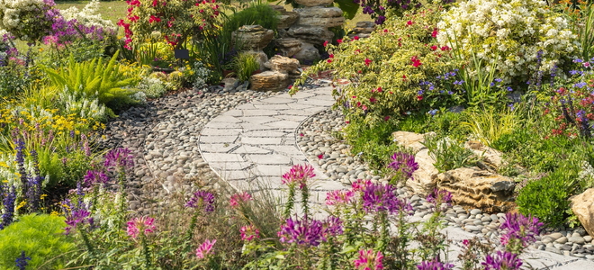 A curving stone walkway surrounded by plants