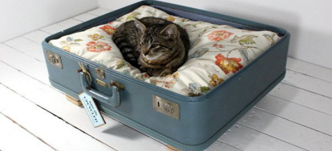 1. Boxy Suitcase