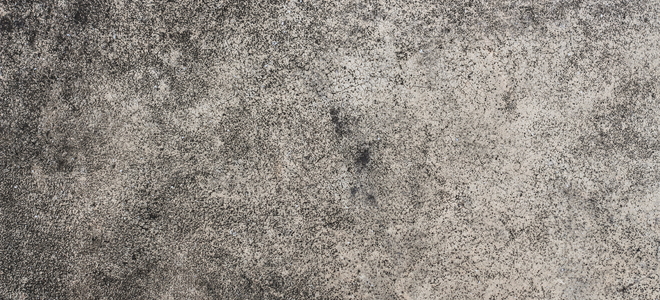 Concept 20 of Pictures Of Mold On Concrete Floor | waridcalltone