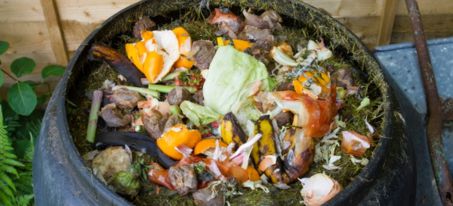 compost barrel with food waste