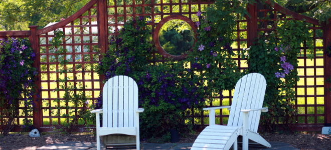 White chairs on a stone sitting area with a trellis in the background