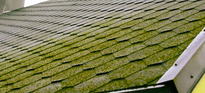 Roof Moss Removal Tips For Roofs With Asphalt Shingles Doityourself Com