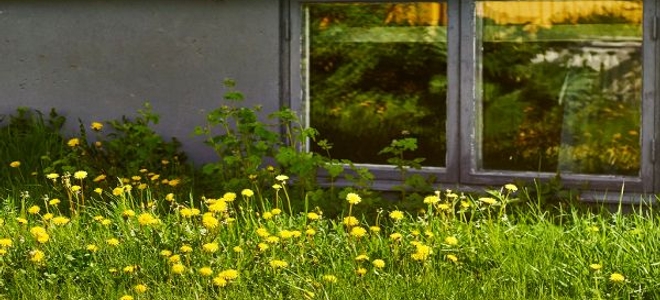 10 Tips for Better Basement Window Security | DoItYourself.com