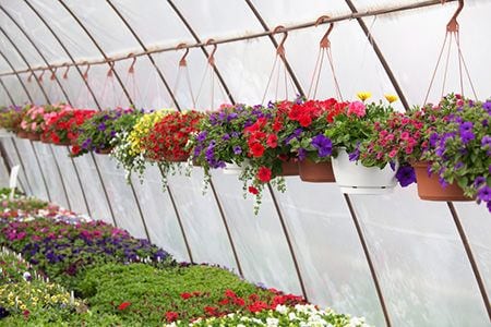 4 Greenhouse Watering Systems | DoItYourself.com