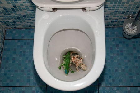 Clogged Toilet: How to Remove Toys and Objects | DoItYourself.com