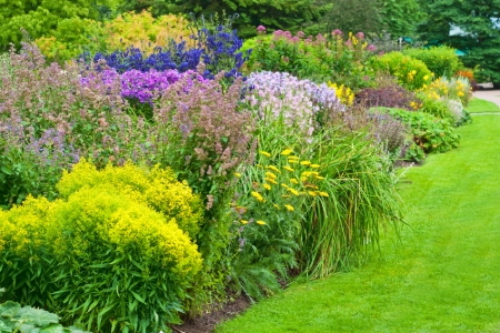 easy-care popular flowering shrubs doityourself.com