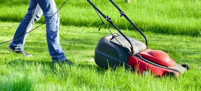 A man pushes a lawn mower.