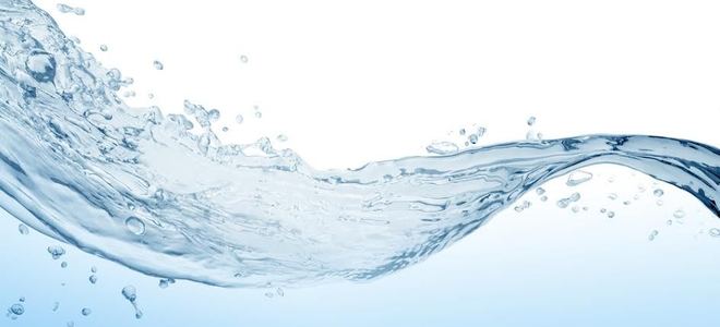 Water splashing against a white background.