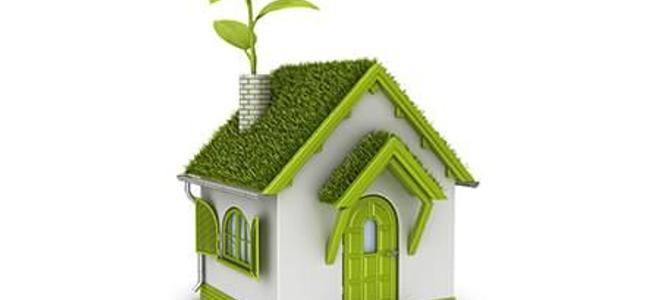 An eco house with plant in chimney.
