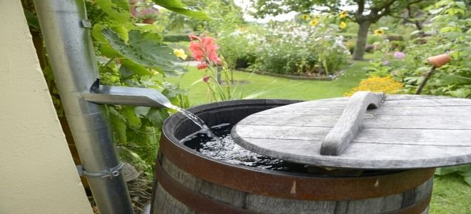 7 Tips for Choosing a Rain Barrel | DoItYourself.com