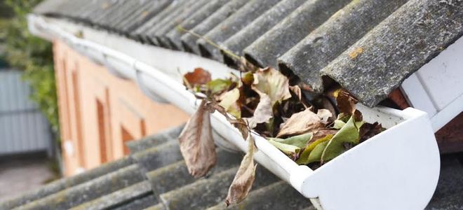 Gutters filled with leaves.