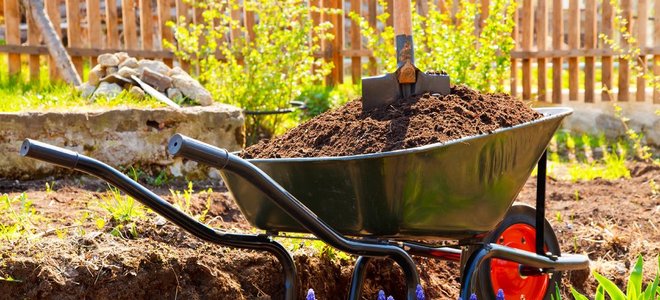 Wheelbarrow filled with dirt in front of garden bed