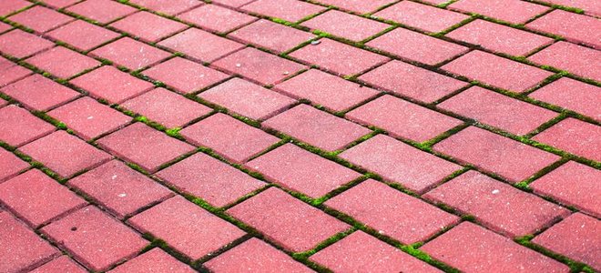 Lead Image for How to Refinish Brick Flooring