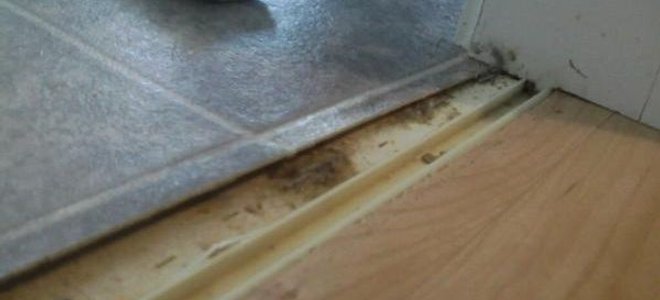 Vinyl tile-print flooring with transition piece removed in doorway.