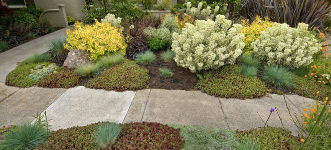 Landscaping Tips for Vacation Homes | DoItYourself.com