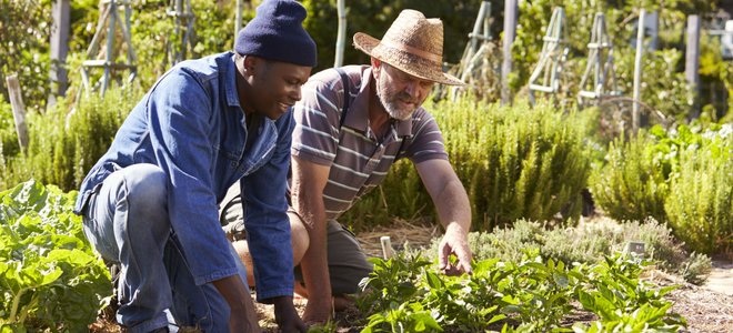 Two men in a garden.