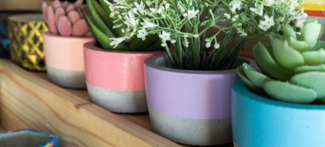cement planters with colorful paint and small plants