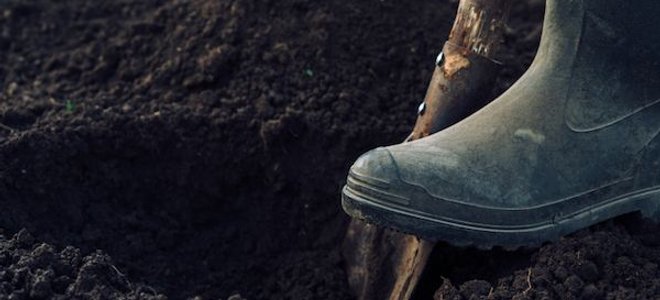 digging a hole for perc test