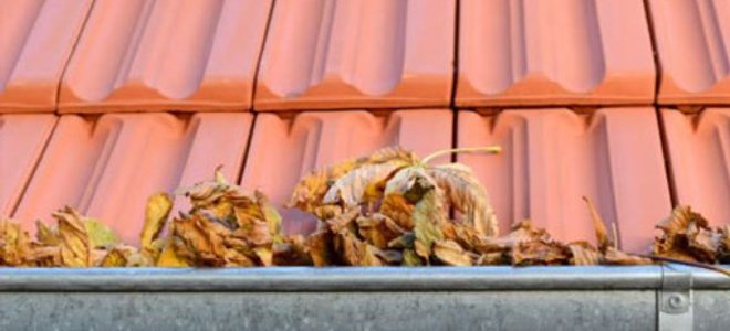 roof tiles