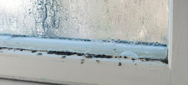 moist, mildewy window frame