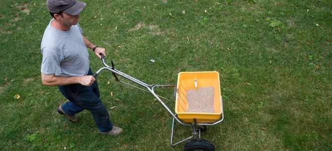 man spreading fertilizer on a lawn