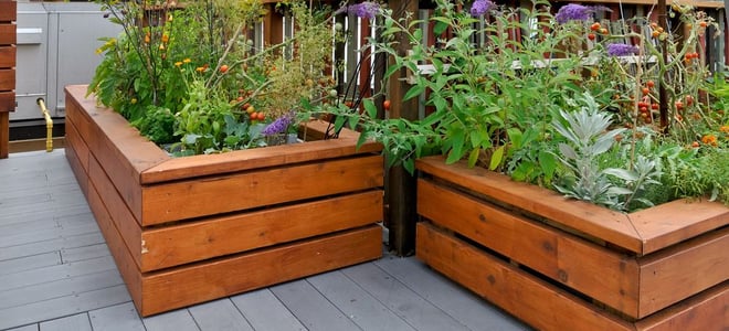 A pair of wood garden boxes on a rooftop deck. 