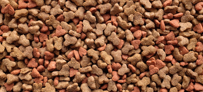 A close-up image of pet food. 