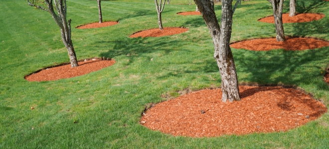 How To Make A Mulch Tree Ring, Mulch Around Trees Ideas