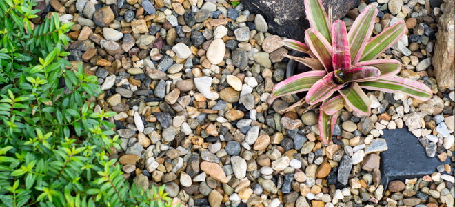 pea gravel in flowerbed