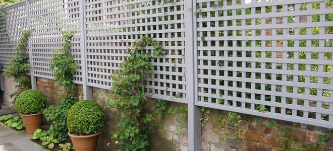 5 Fencing Considerations for High Wind Areas