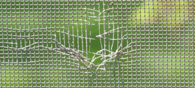 A close-up of a window screen with holes in it.