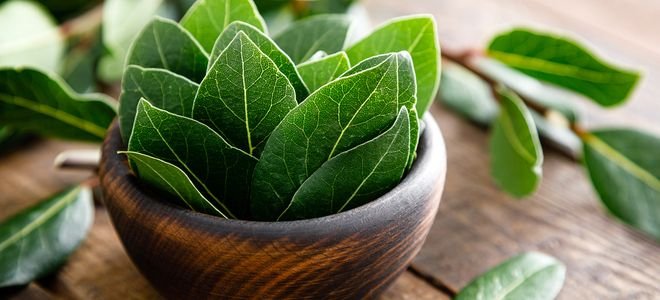 pretty bay leaves in a wooden bowl
