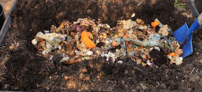 Bokashi compost in dirt