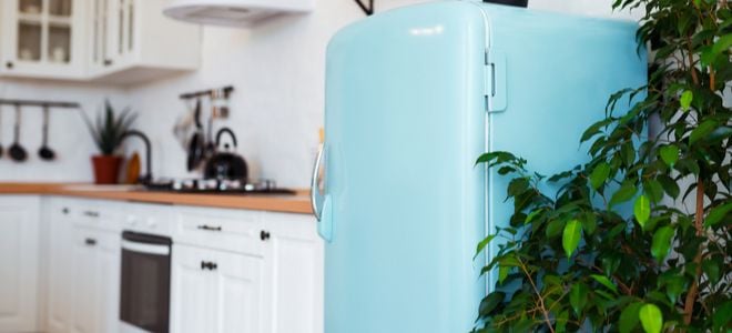 blue curvy fridge in kitchen with houseplant