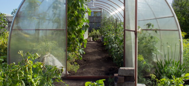 curved greenhouse