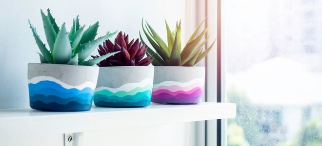 cement planters on shelf with cacti and colorful paint designs