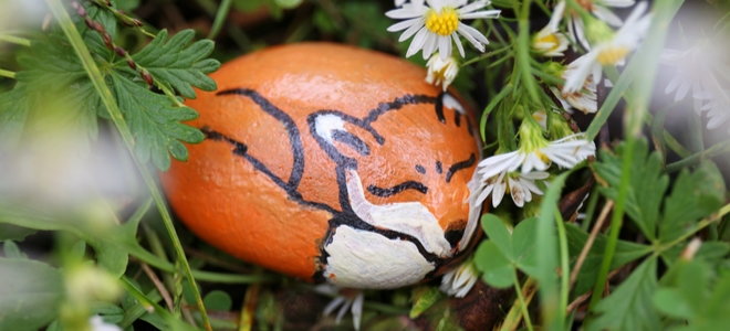 rock painted like a fox nestled in daisies