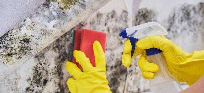 cleaning mold