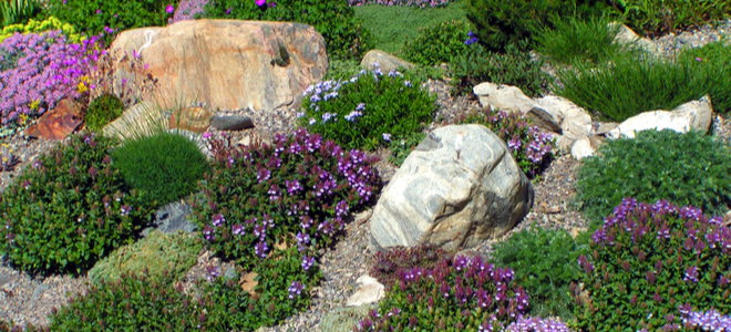 rocks in garden landscape