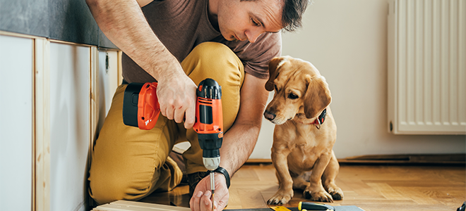 Man drilling wood paneling with dog watching