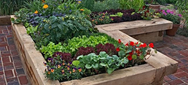 raised bed with mixed vegetables and ornamentals