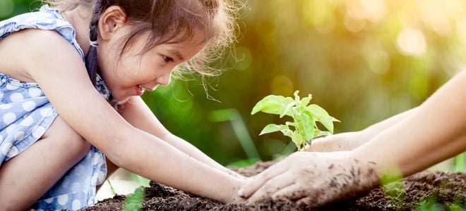 A young girl plants a tree.