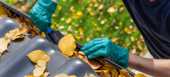gloved hands cleaning leaves from gutters with a trowel