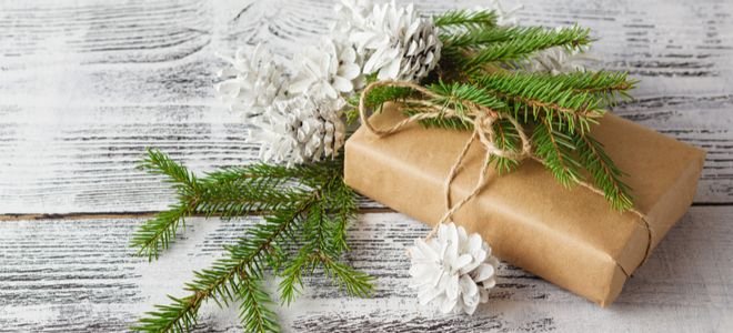 brown wrapped package with pine branches