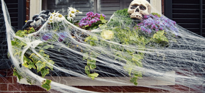 spider web Halloween decoration on window box