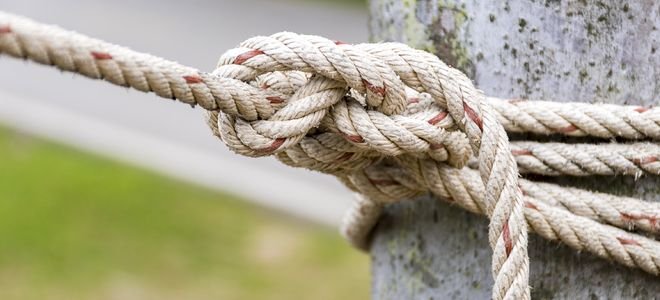 tent rope attached to tree